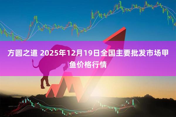方圆之道 2025年12月19日全国主要批发市场甲鱼价格行情