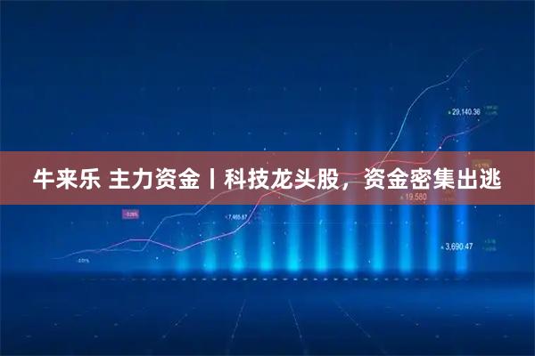 牛来乐 主力资金丨科技龙头股，资金密集出逃