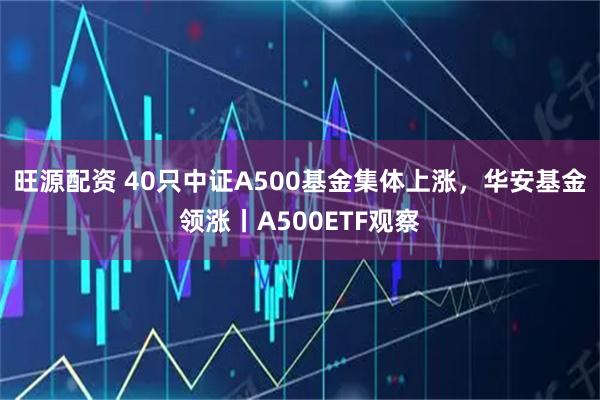旺源配资 40只中证A500基金集体上涨,华安基金领涨丨A500ETF观察