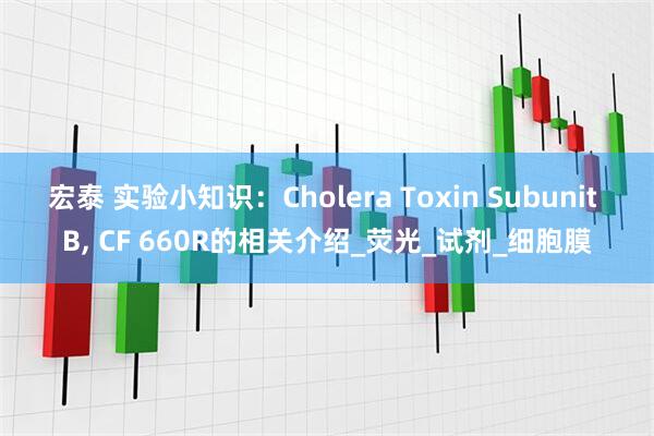 宏泰 实验小知识：Cholera Toxin Subunit B, CF 660R的相关介绍_荧光_试剂_细胞膜