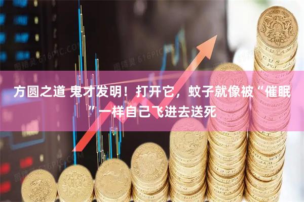 方圆之道 鬼才发明!打开它,蚊子就像被“催眠”一样自己飞进去送死